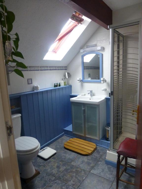Ty Carreg Bed and Breakfast Llanwrtyd Wells Δωμάτιο φωτογραφία