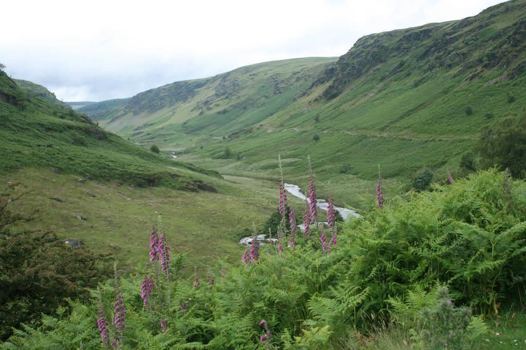 Ty Carreg Bed and Breakfast Llanwrtyd Wells Εξωτερικό φωτογραφία